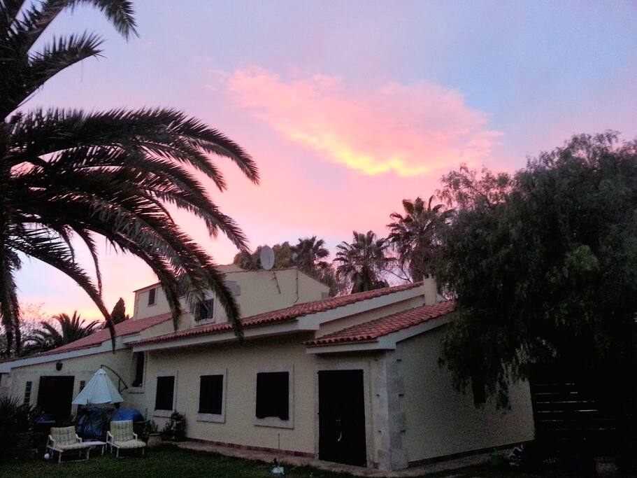 View from the pool area.