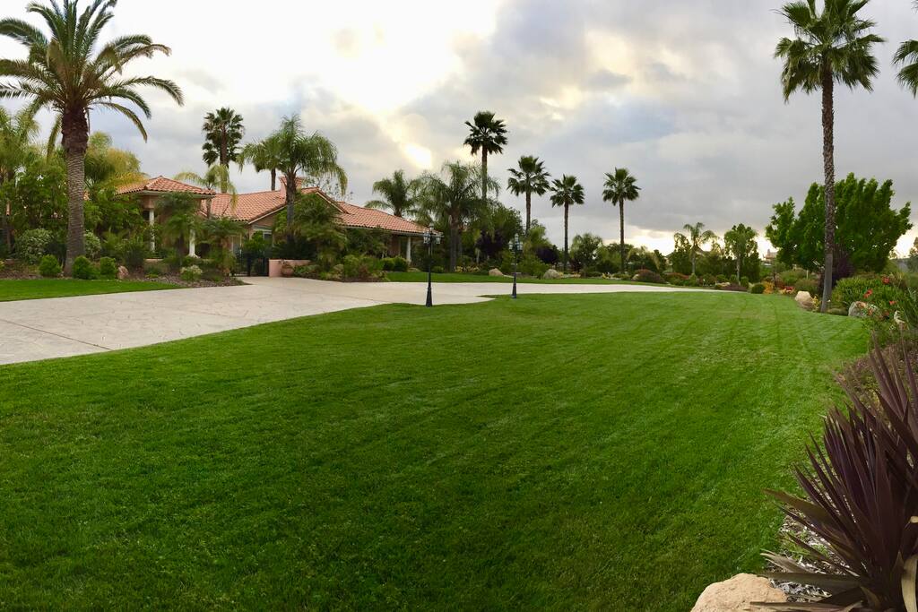 Lush front yard landscaping
