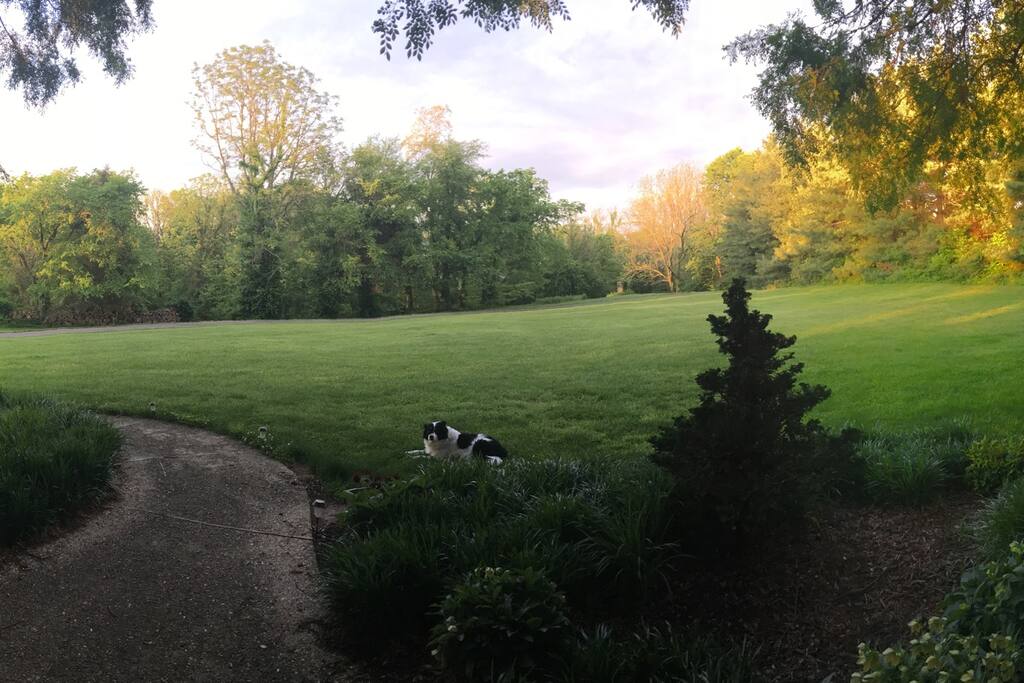 View from front porch.