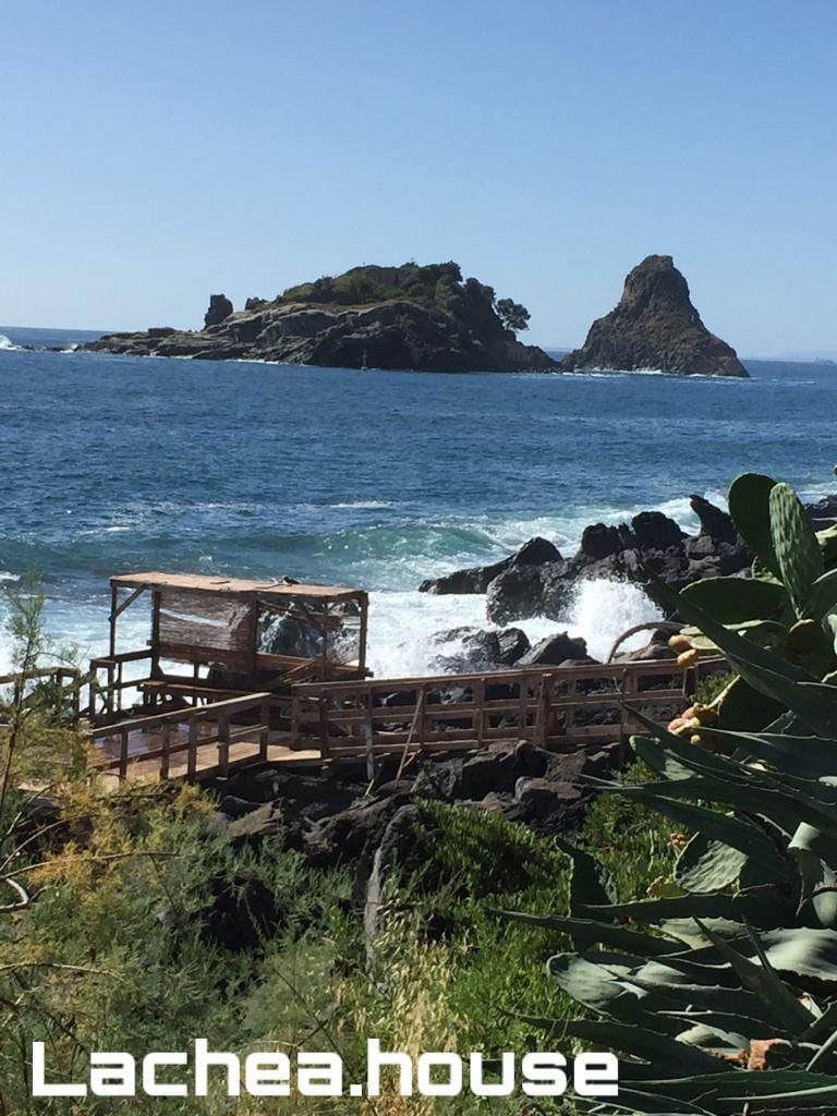 A vibrant view of the sea features rugged rocks and a distant island, highlighting lush greenery in the foreground. The water's dynamic waves crash against the rocky shore, while the sky is clear, presenting a serene coastal landscape.