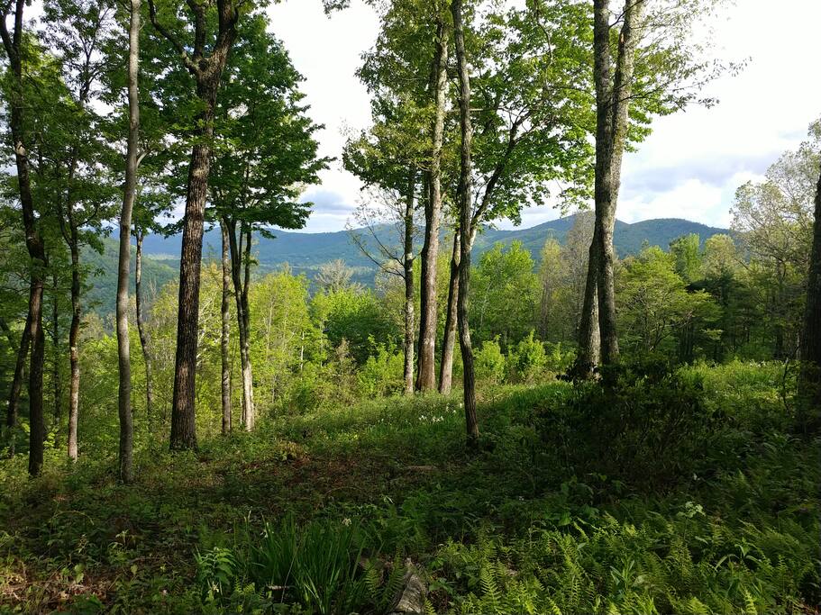 4000 Ft. Elevation View of Sapphire Valley