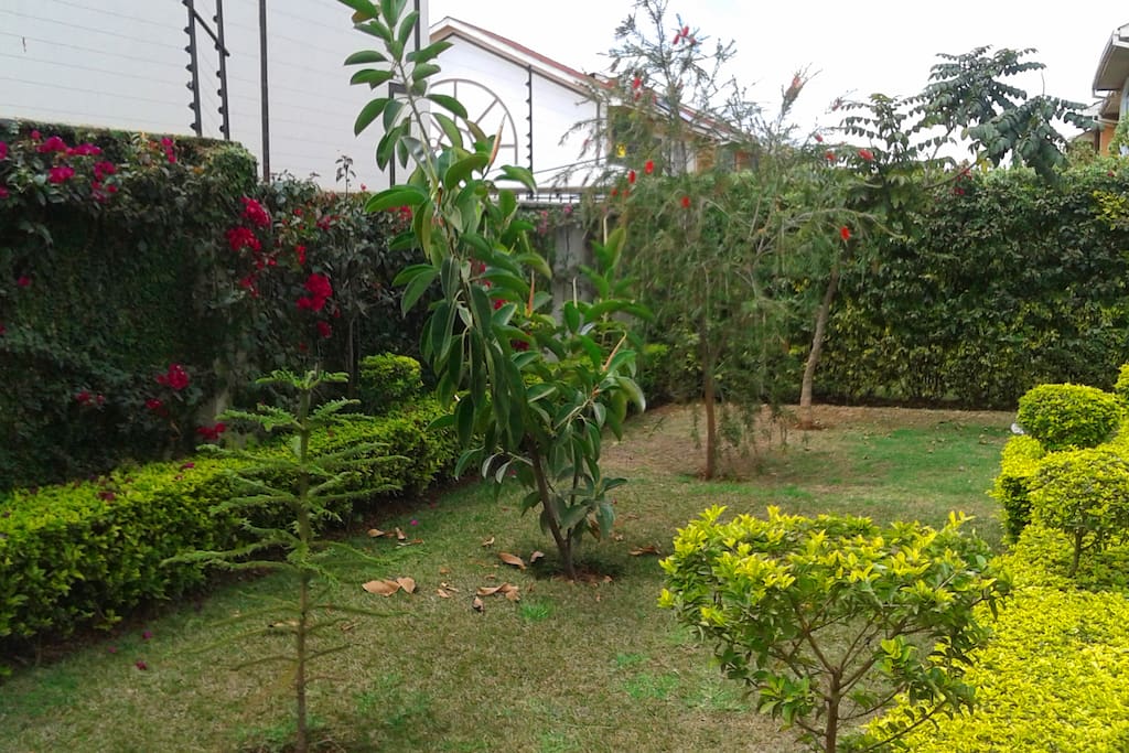 Outdoor Garden