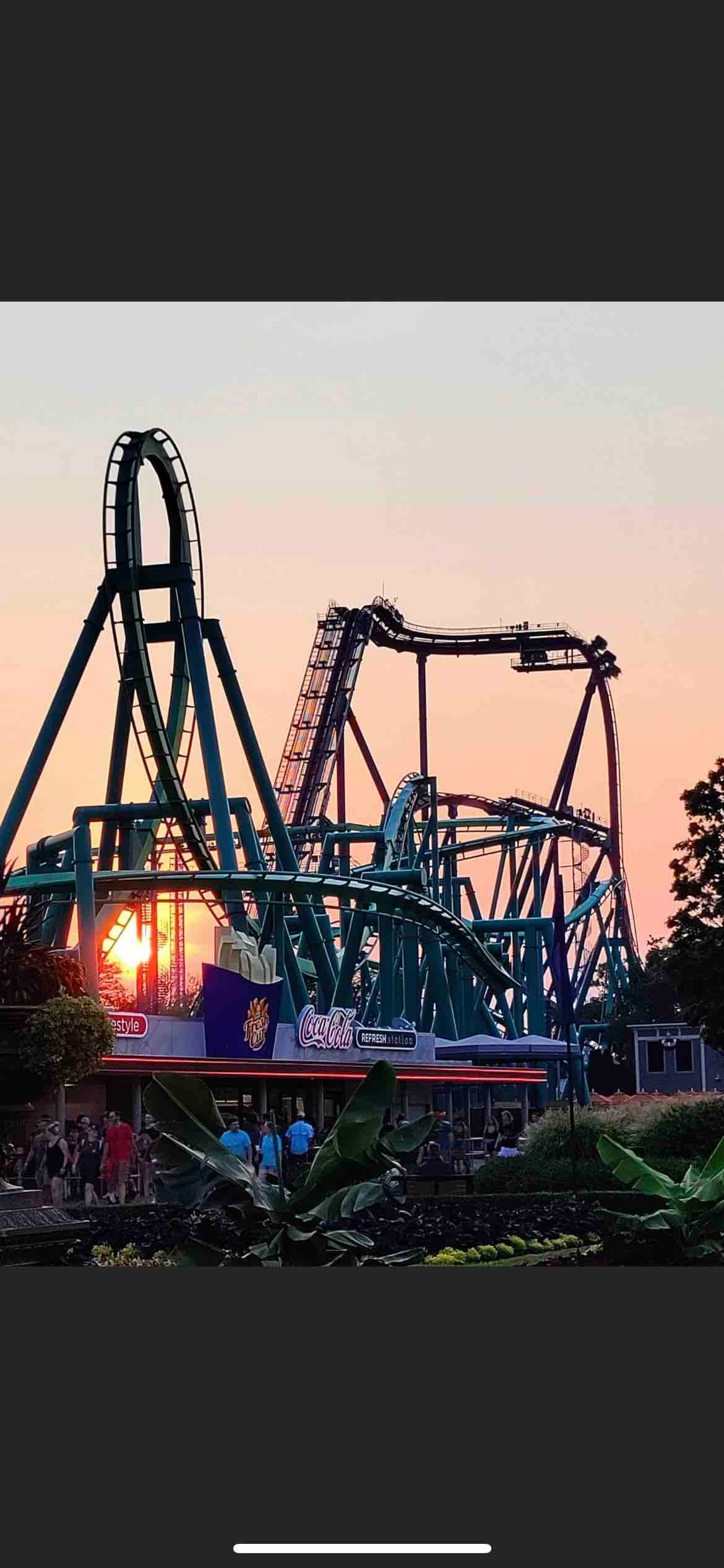 A vibrant amusement park is depicted at sunset, showcasing a collection of roller coaster tracks in varying heights and angles. People are gathered in front of a colorful entrance, with plants and foliage framing the image, creating a lively atmosphere.