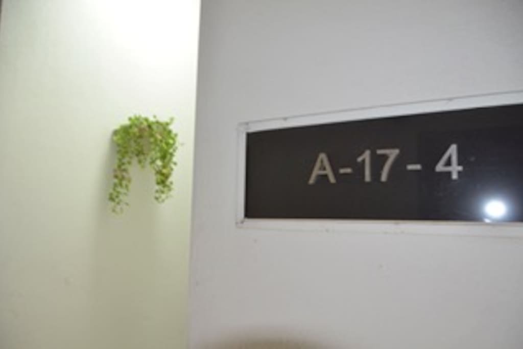 Main door