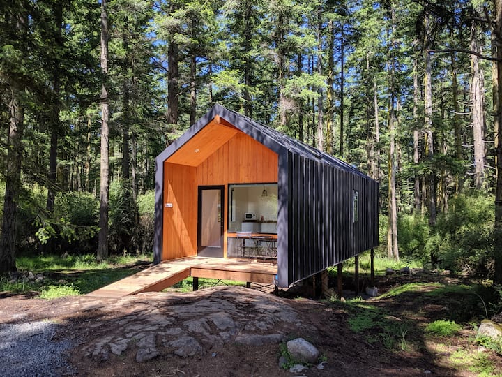 Friday Harbor Vacation Rentals & Homes Washington, United States Airbnb