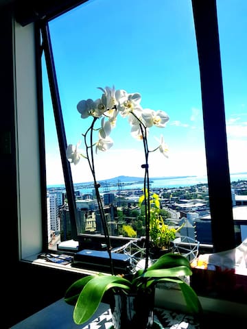 CITY LiVing w/SPECTACULAR VIEWS ON EVERY EDGE+WIFI