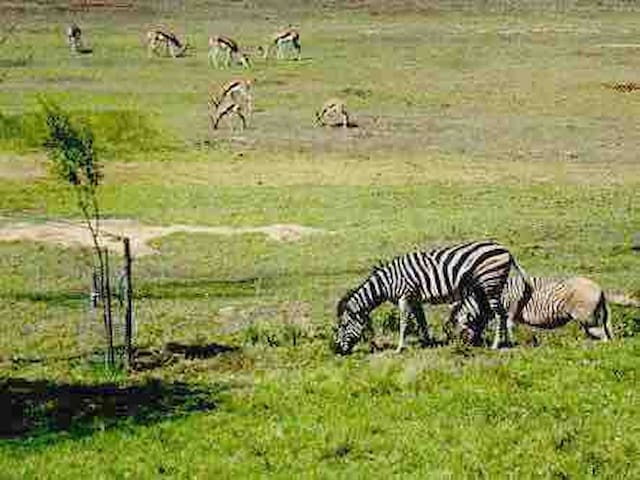 Winelands Getaway on a wine farm