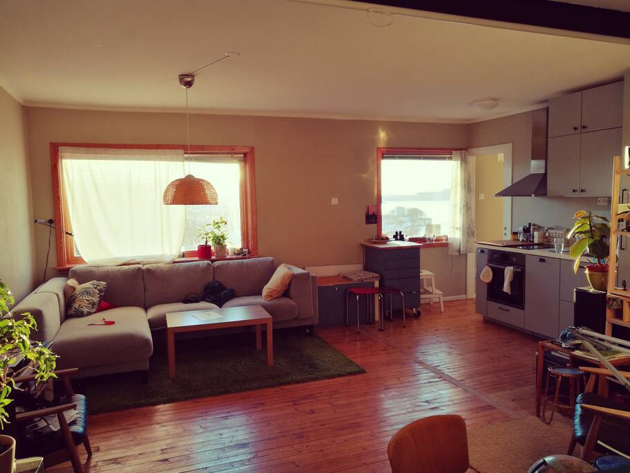 Open kitchen - Living room solution