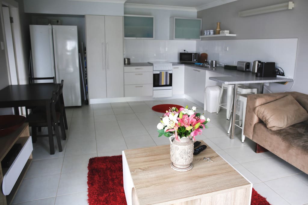 Living area and kitchen.