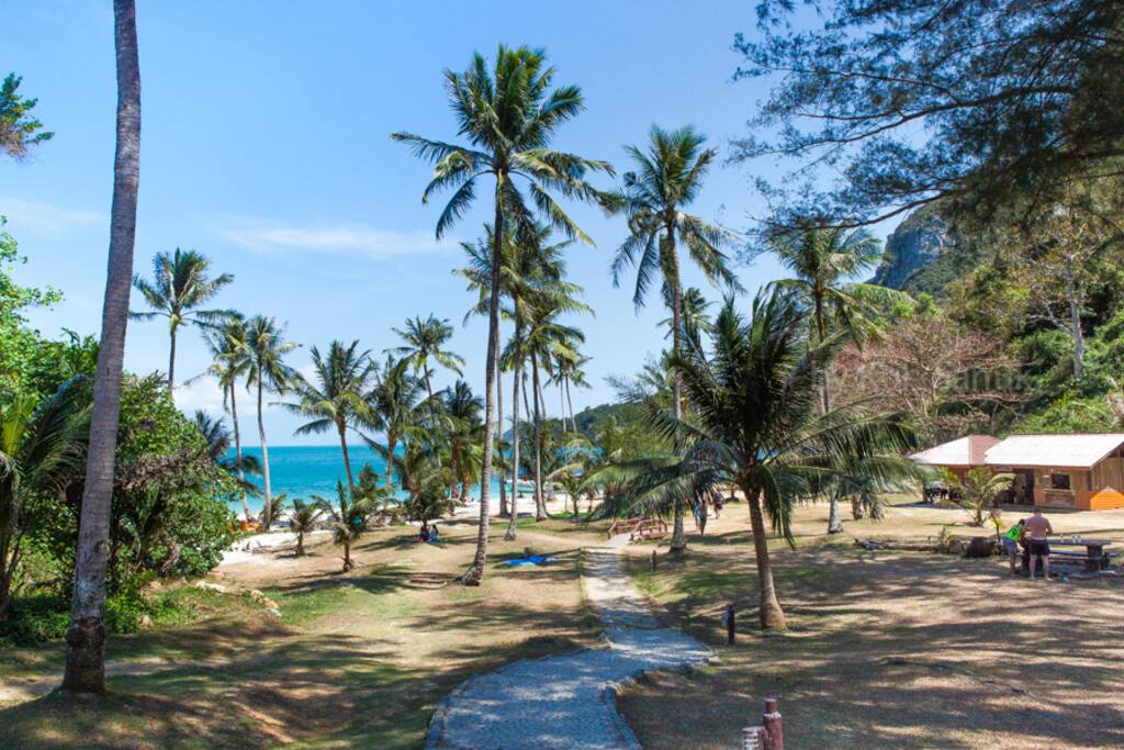 Camping Site by the beach.