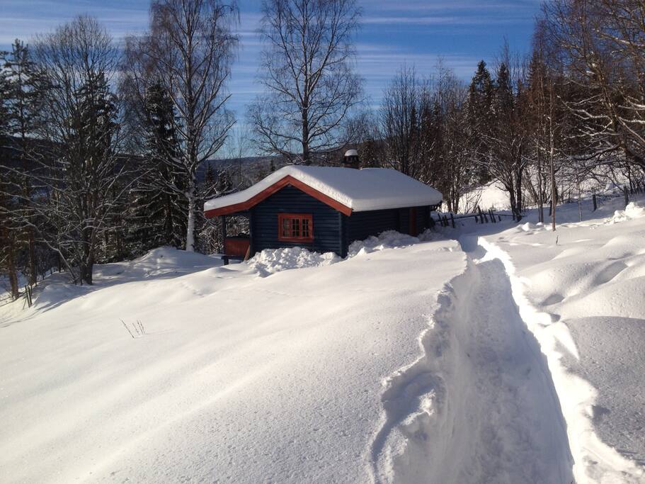 Kort vei til naturopplevelser både sommer som vinter.Da 70 % av arealet til Nes kommune består av fjellområder, gir dette en god mulighet for alle friluftsmennesker til å ta seg en fredelig tur ut i skog og mark. Det et kort vei både til det fantastiske familievennlig Nesbyen Alpinsenter og langrenns turer, fiskemuligheter m.m.