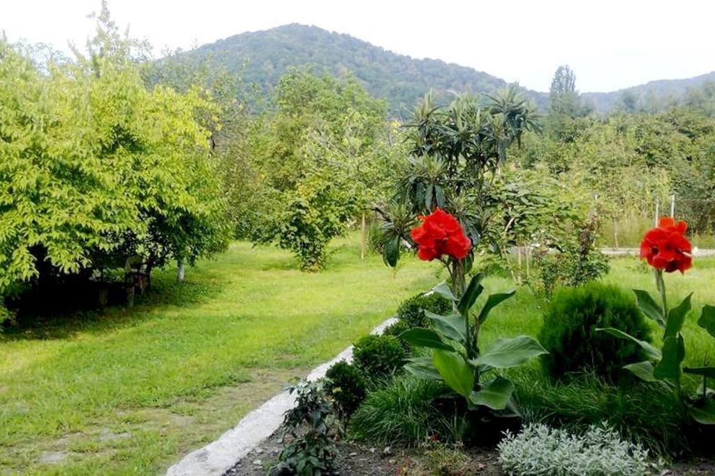 view from balcony