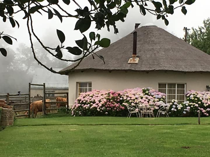 Glenfinlas Guest Cottage -  ideal R67 stopover