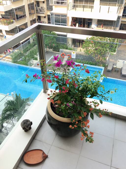 Balcony overlooking the pool