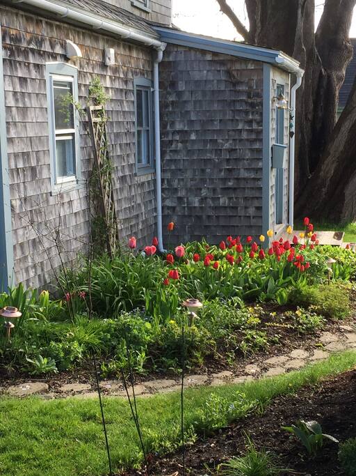 spring garden