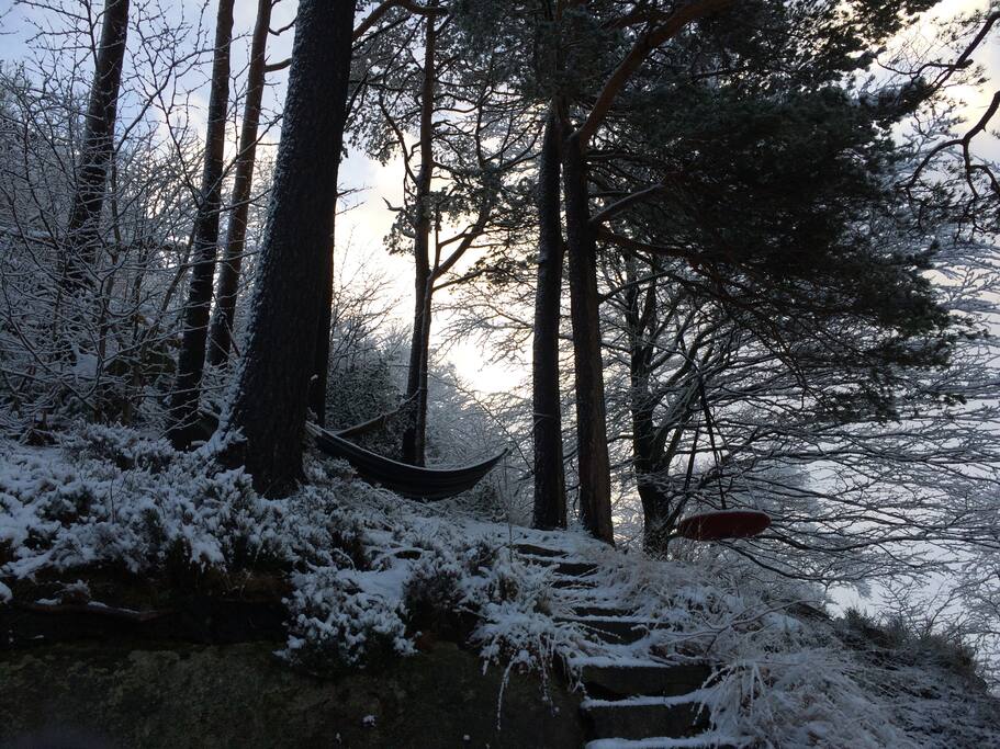 Winter picture. Bring your hammock and enjoy the garden :)