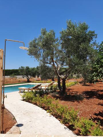 Tenuta Cici e Michela gallery image 4