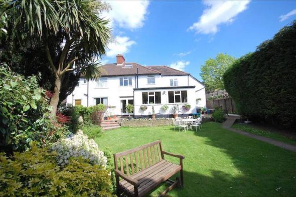 Back garden