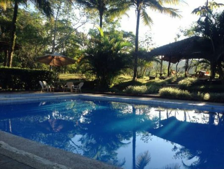 piscina en medio de la naturaleza
