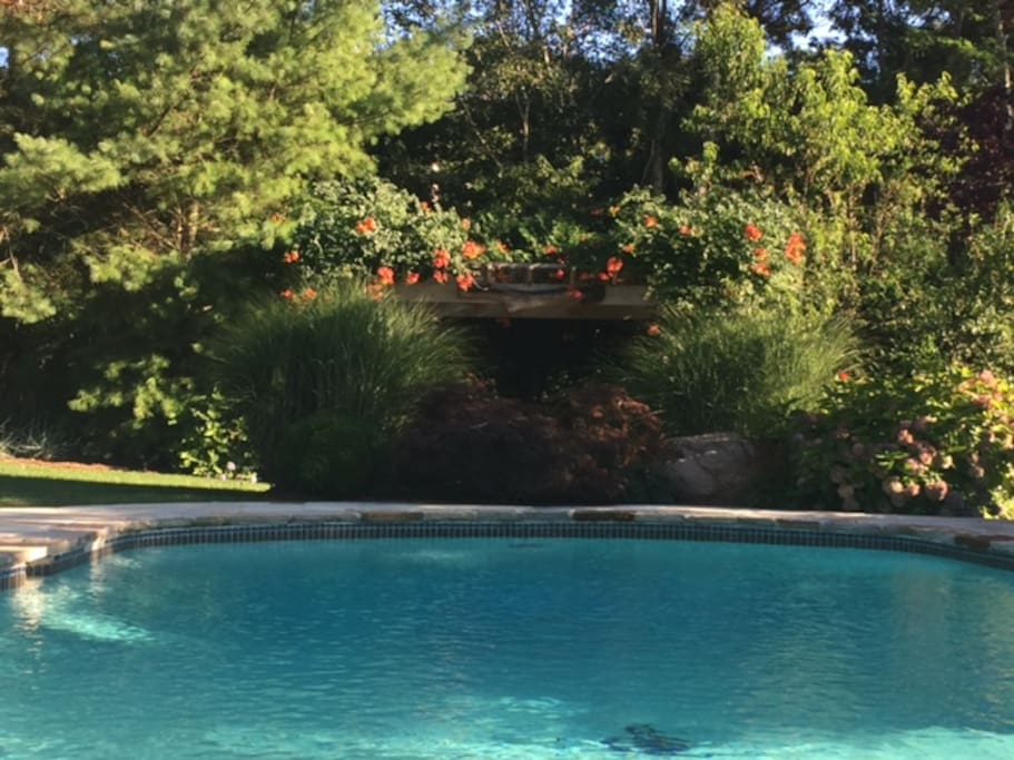 Pool with Gardens