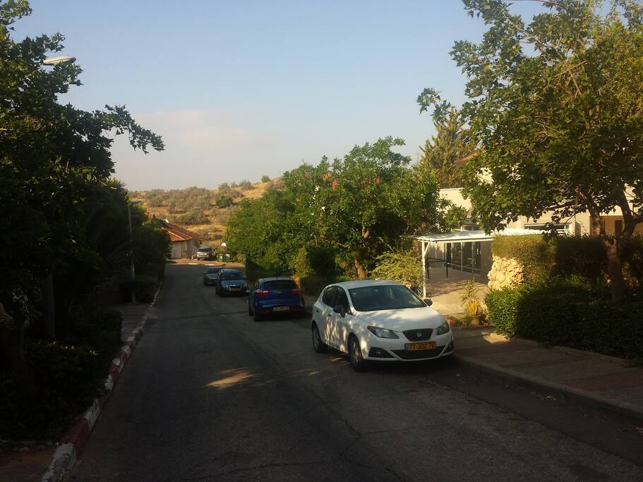 הרחוב השקט