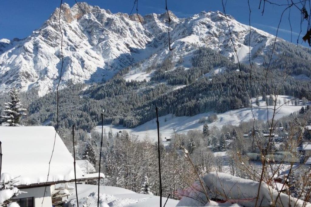 View Winter