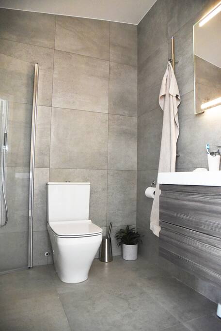 Luxurious bathroom with hair dryer