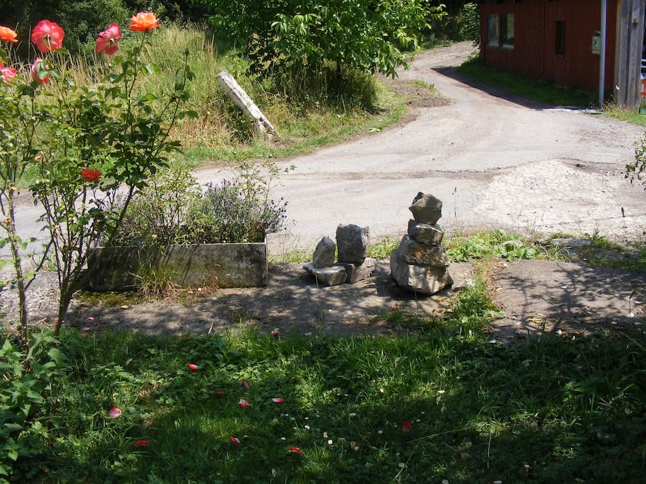 Another view of the garden