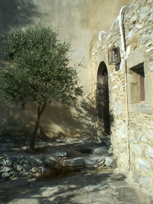 groundfloor entrance/ garden