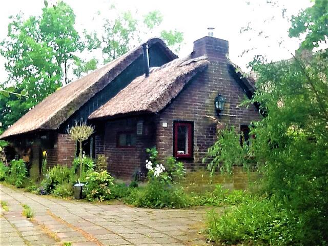 Gezellig en knus vakantiehuis in Nijensleek