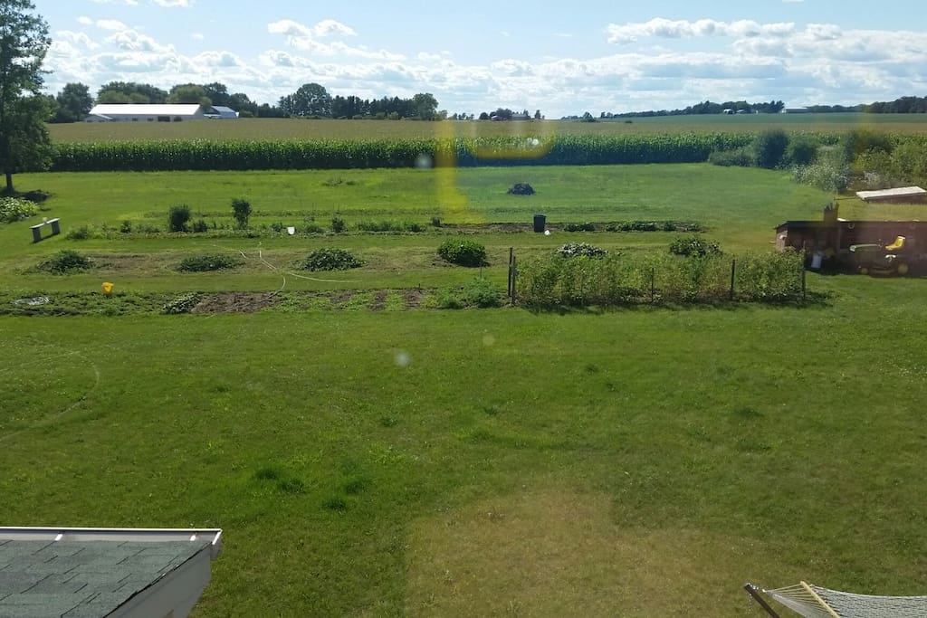 This is my back yard, quiet and peacefull, in a county setting.