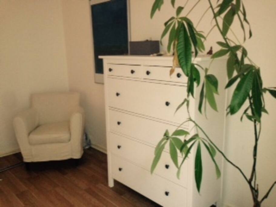 your room