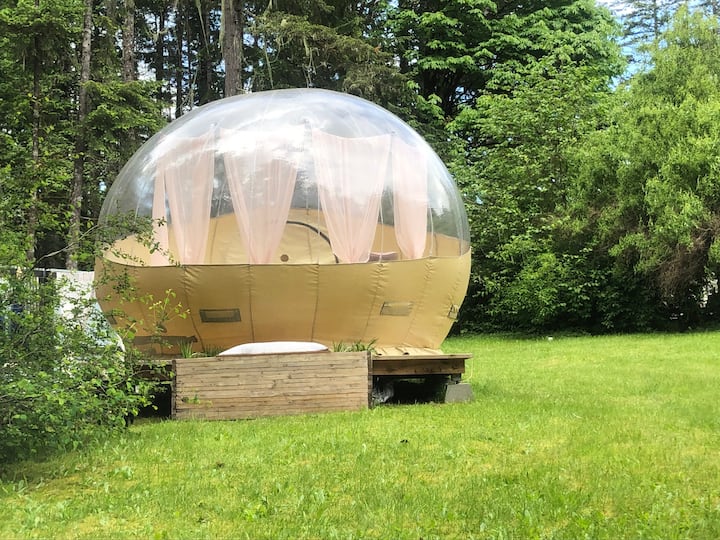 Glamping in Olympic National Park Experience Luxury Camping in Nature