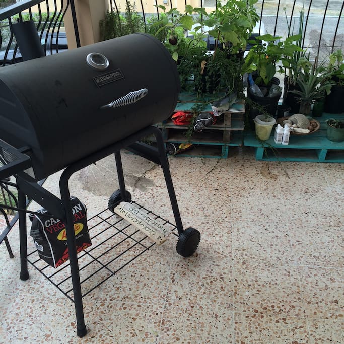 Smoker Bbq Grill and fresh veggies/herb garden