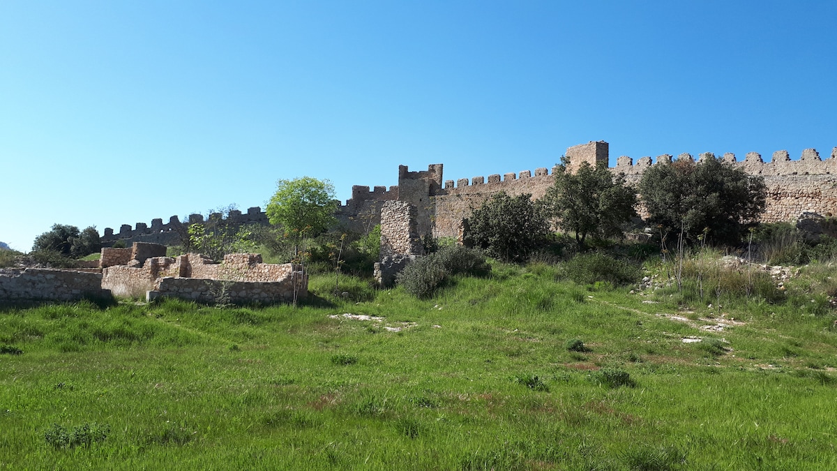 Ancient stone walls are visible against a clear blue sky, surrounded by a grassy landscape. Ruins of structures can be seen in the foreground, with sparse trees and shrubs dotting the area, creating a serene and historic atmosphere.