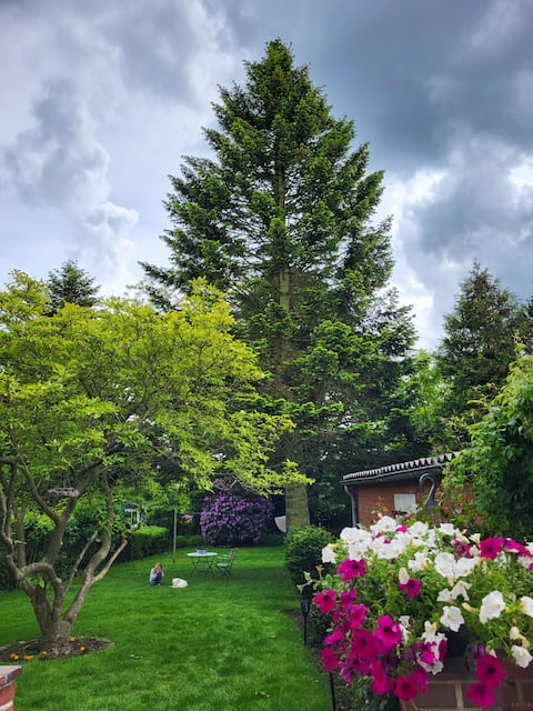 West Coast Vacation Rental