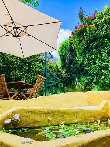 Sun, Sea & a Wood-fired HotTub in a Downtown Villa gallery image 4