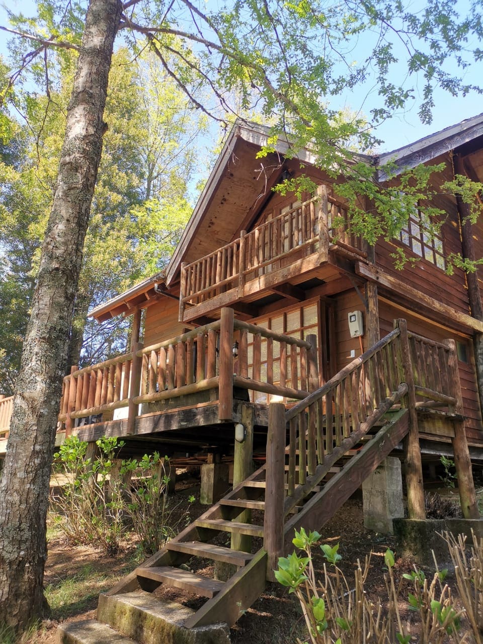 A wooden house with a classic design is elevated on a sturdy foundation. A staircase leads up to an inviting front porch adorned with wooden railings. Surrounding trees provide natural shade, and well-maintained greenery is visible at the base of the structure.