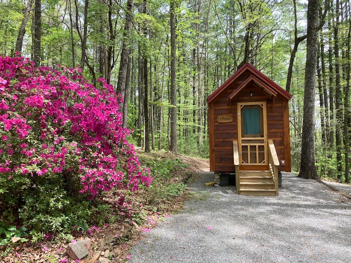 Laurel Tiny Home North Georgia - Campers/RVs for Rent in Clarkesville ...