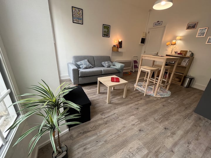 Orléans Holiday Rentals & Homes CentreVal de Loire, France Airbnb