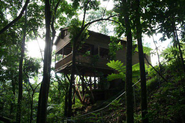 A wooden cottage loft stands elevated among lush green trees, surrounded by a dense forest. The structure features a spacious balcony with wooden railings, providing a glimpse of the natural canopy. Light filters through the foliage, creating a serene atmosphere.