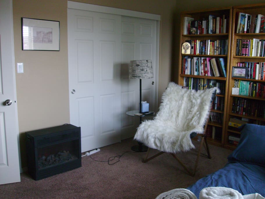 1st bedroom (Library) reading chair and closet space.