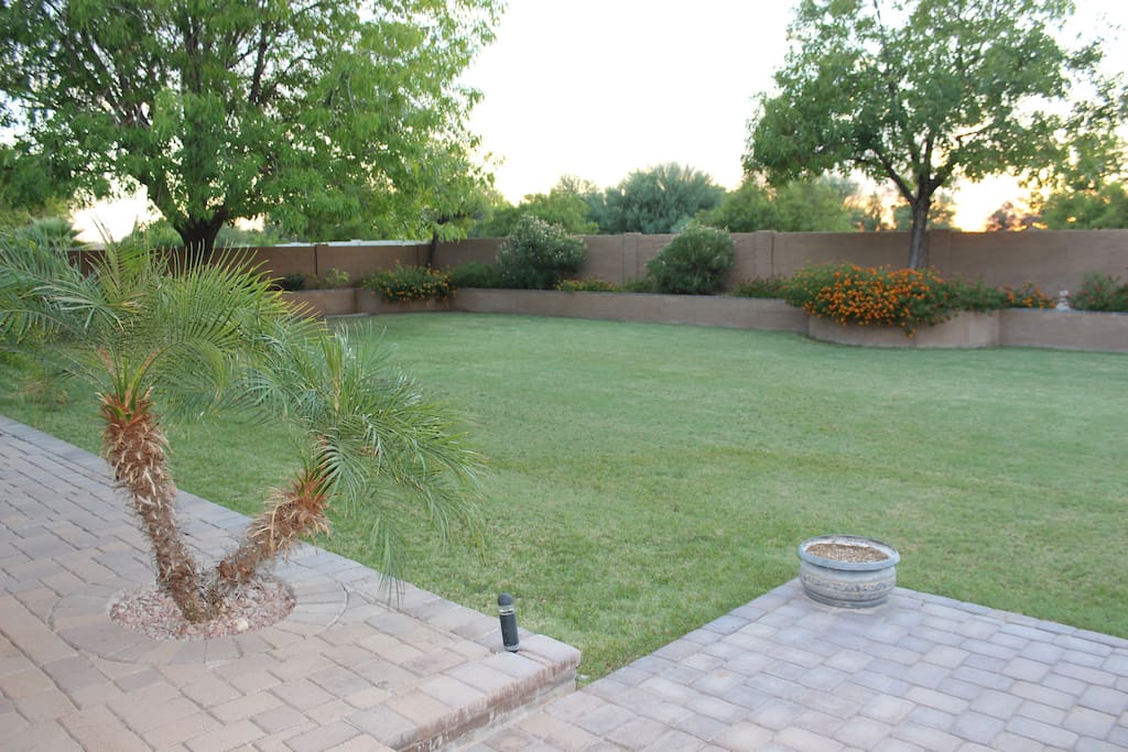 Backyard