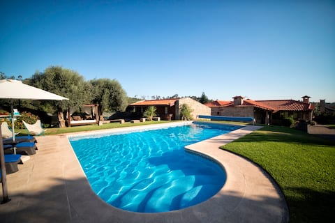 Private villa with pool in Barcelos