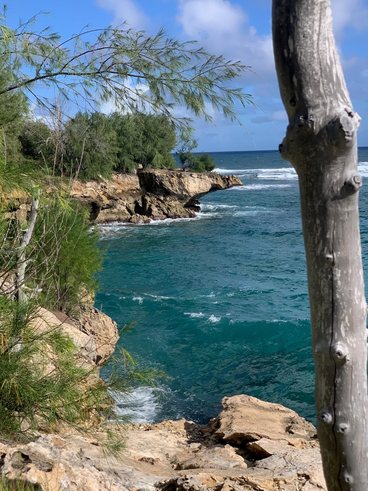 A rocky coastline features lush greenery and jagged cliffs overlooking the turquoise waters. Gentle waves lap at the shore, while a few trees with slender trunks frame the scene, providing a sense of natural tranquility.