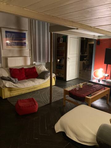 Appartement 8 personnes Lyon 1er