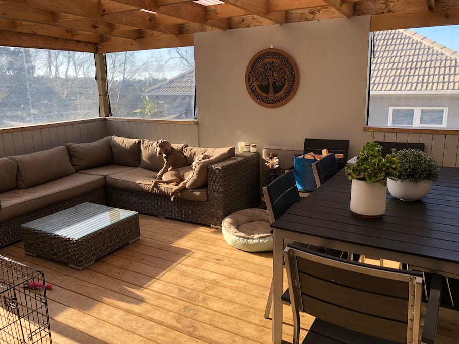 Outdoor covered living area...and the resident dogs!