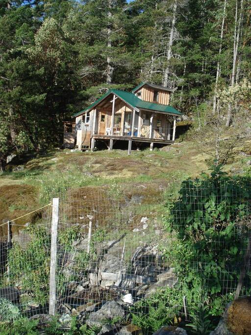 Looking up from garden area to your cabin... mossy bluffs everywhere