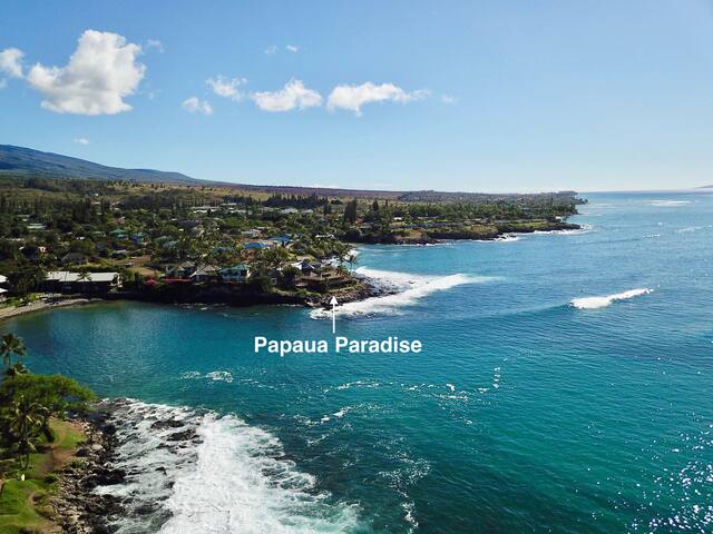 Private Oceanfront Estate Turtle Cove Napili Maui gallery image 5