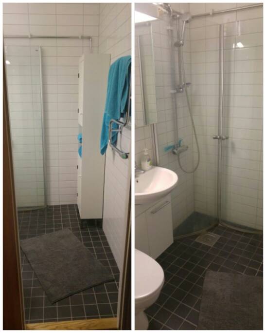 Toilet/Bathroom